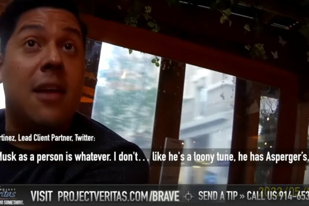 Top Twitter boss dubs Musk a loony tune Project Veritas