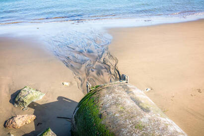 Turning the tide on England's water pollution crisis