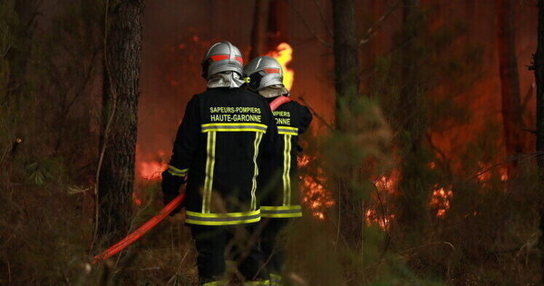 Russia rebuffs French wildfire conspiracy theory - Big News Network.com