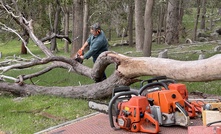 It can be hard enough selecting the best chainsaw for your needs, but chain selection is a whole other kettle of fish. The wrong choice can see slow cutting speed and frequent re-sharpens, but the right chain can make the chips really fly. Credit: Ben White.