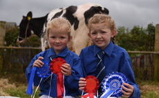 Blue Texel is the golden girl of Llandeilo show 