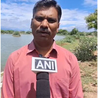 Tamil Nadu: Large number of migratory flamingos spotted in Thoothukudi's salt pans along East Coast Road