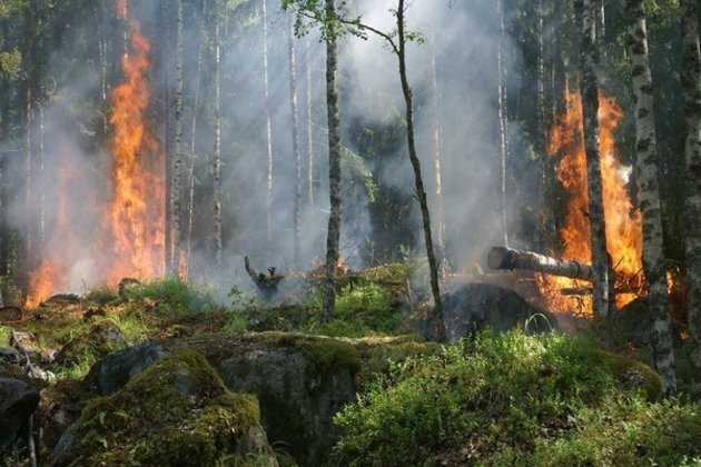 Wildfire in northern Athens forces evacuations
