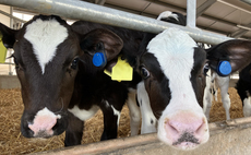 Partner Insight: Is preventative health the key to sustainable profits in farming?