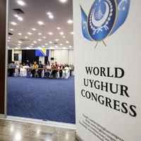 China's global crackdown shadows Uyghur activism, rights advocacy