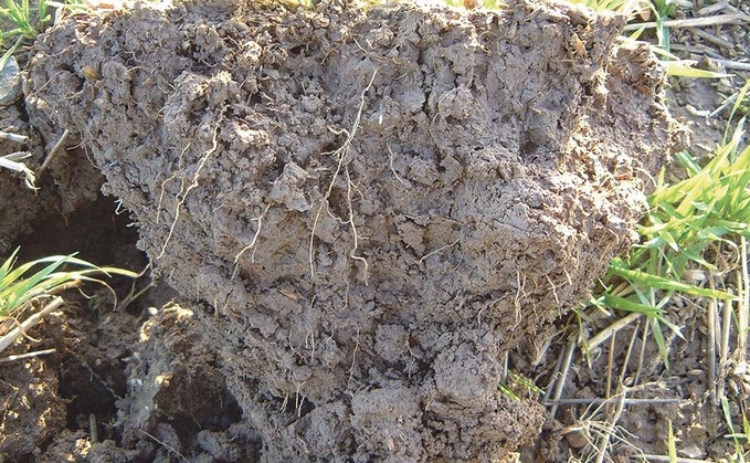 'Urgent need' for national soil monitoring as lack of investment is revealed