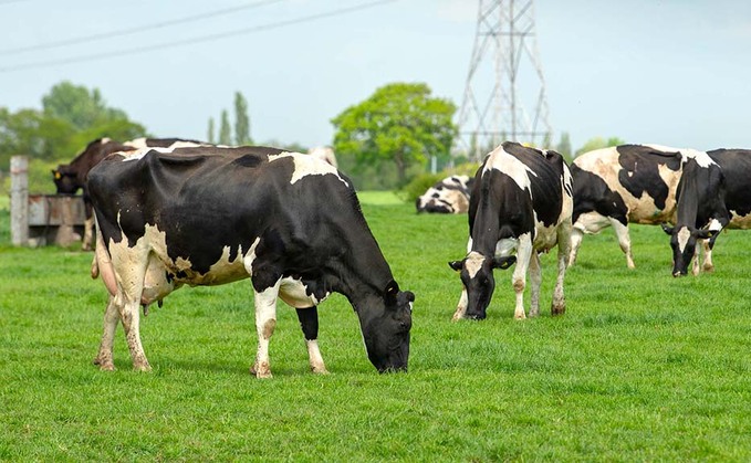 Milk market disparity sees widening gap between farmers