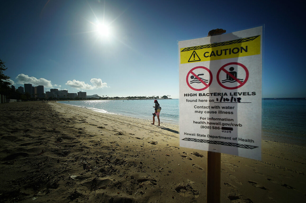 Beach Day&quest; Avoid The Spots With High Bacteria Levels&nbsp; - Honolulu Civil Beat