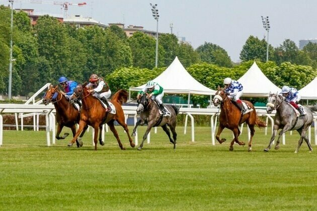 Fifth round of 32nd UAE President's Cup Series for Purebred Arabian Horses starts in Rome