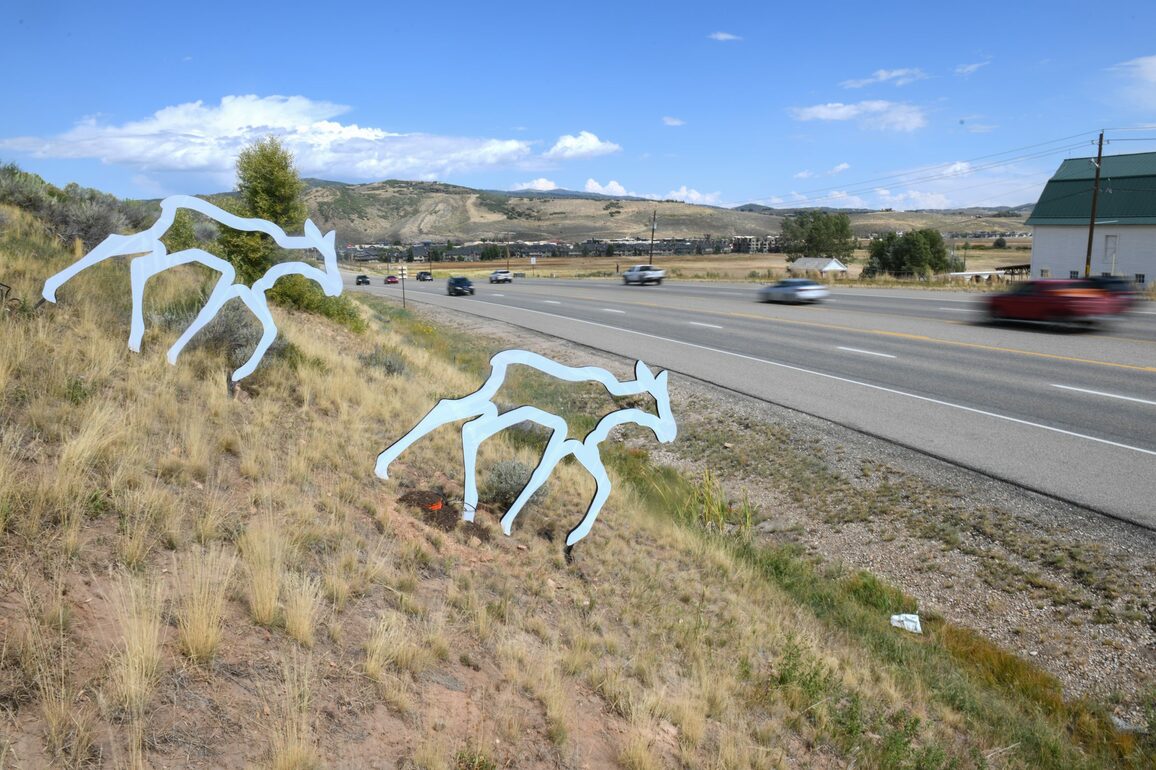 Park City wildlife advocacy group reports moose death in S.R. 224 collision - Park Record