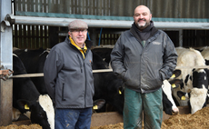 Foot health in the dry cow group
