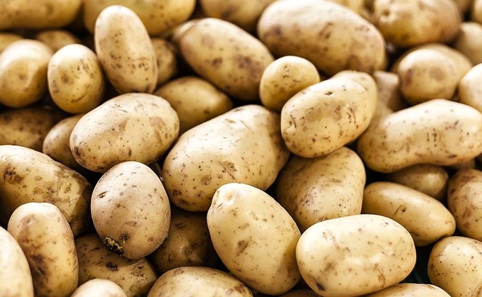 Put potatoes in the fridge to cut food waste