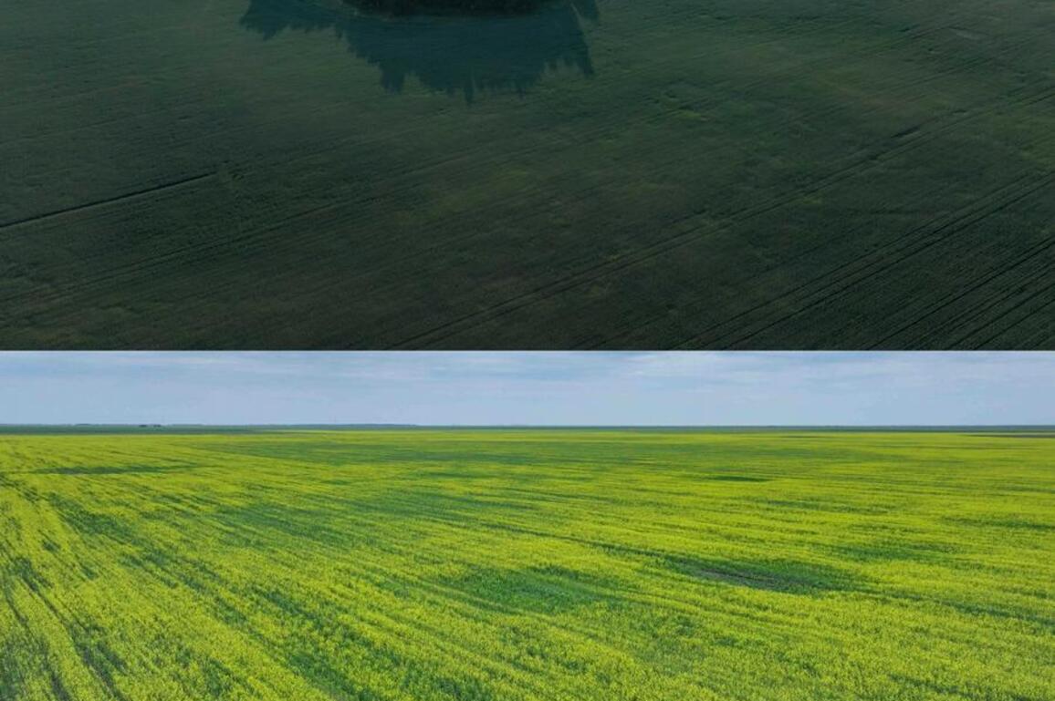 LenstoLens | China-Kazakhstan agricultural cooperation takes root