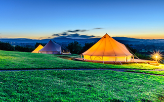 Falling profits leave farmers dependent on diversification