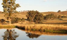  Koppamurra landscape