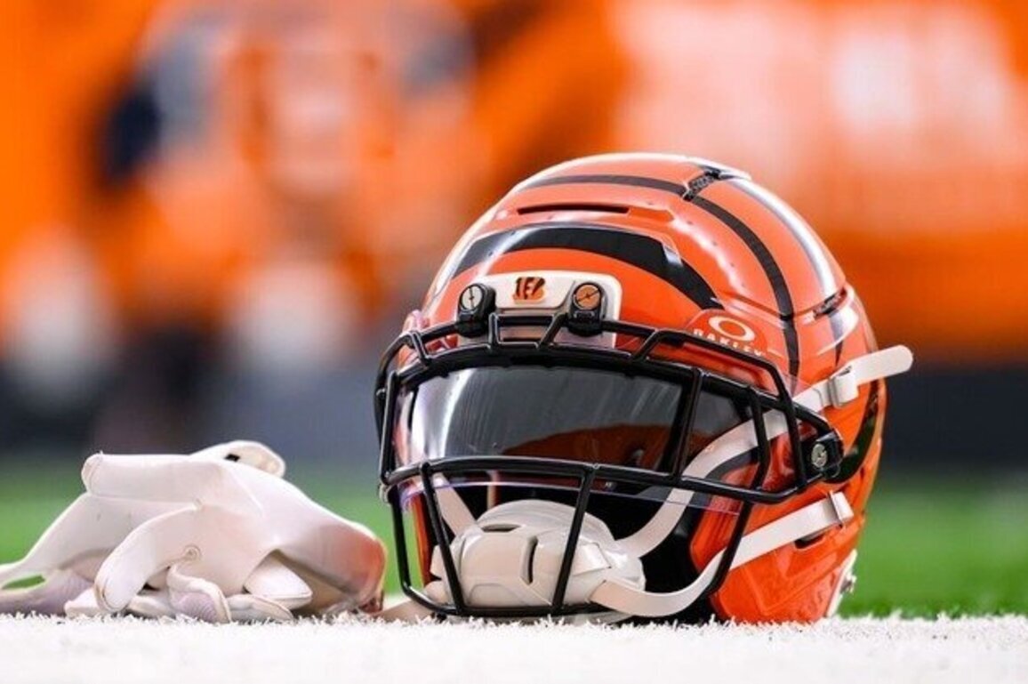 Bengals 2026 Offseason Overview