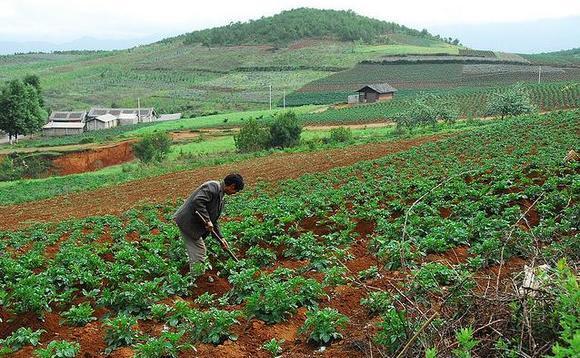 China's farms show growth potential