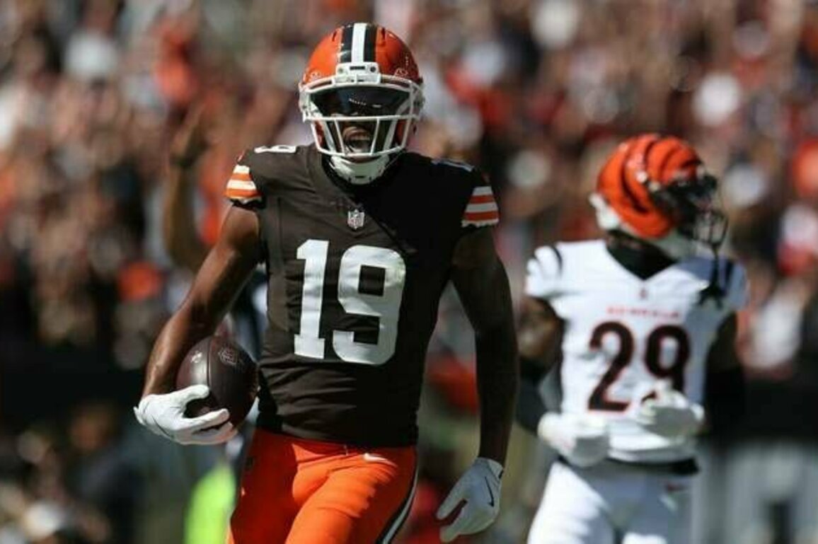 Browns activate WR Cedric Tillman (hamstring) from IR