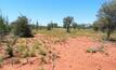 Ammaroo landscape.