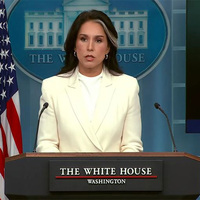 Russia does not even have capability to occupy Ukraine let alone invade Europe: Tulsi Gabbard