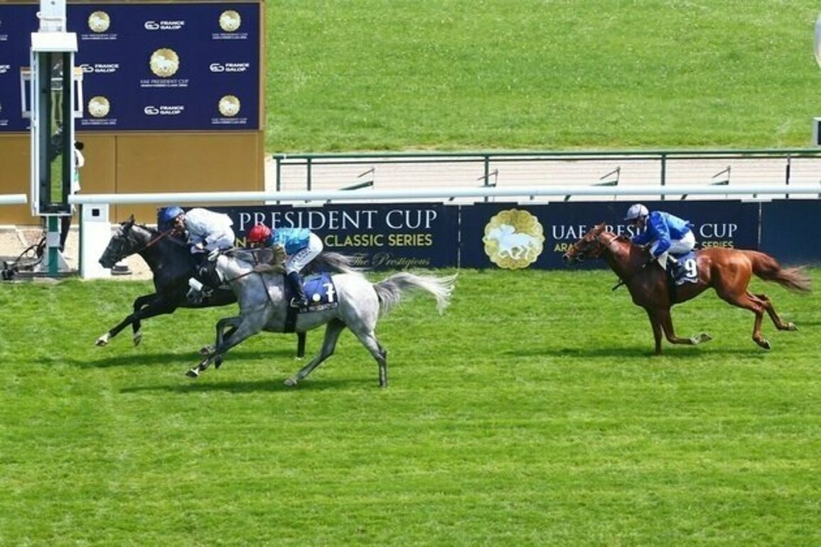 Organising Committee of UAE President's Cup Series for Purebred Arabian Horses announces agenda