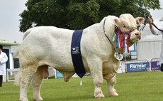 Royal Highland Show: Charolais crowned king of beef inter-breed