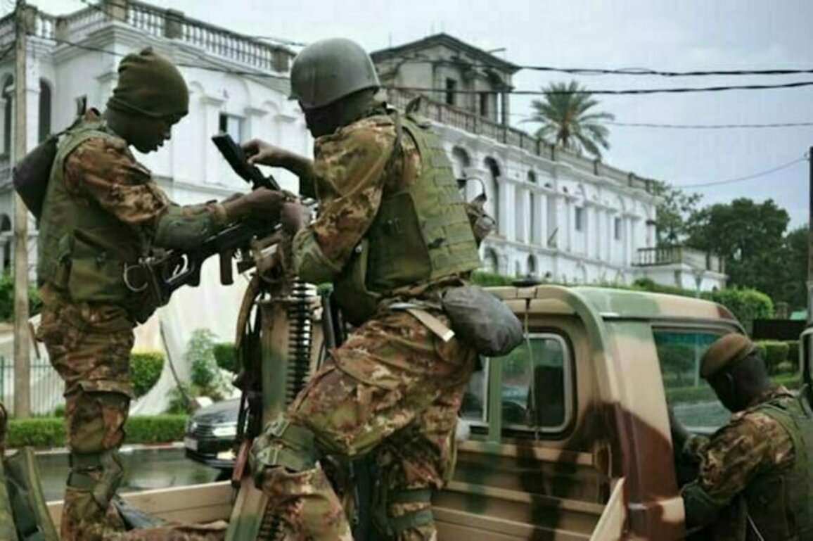 Le soutien de la Chine  l'armee malienne comporte des risques : un chercheur en expose les tenants et les aboutissants