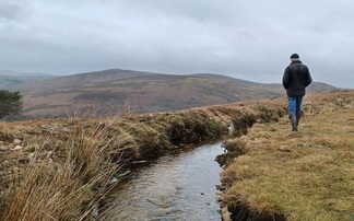 ļֱ disappointed after Chris Packham's Wildlife Justice challenges 'overgrazing' on Dartmoor