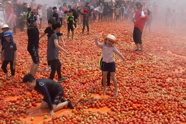 Asia Album: Tomato festival held in Hwacheon, S. Korea