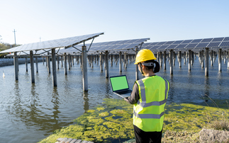 Green jobs: Global renewable energy workforce surges to a record 16.2 million