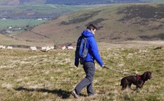 New educational course seeks to address dog attacks on livestock in Wales