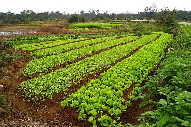 Beijing launches Hainan customs split to lure investors, boost trade