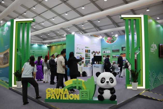 From COP17 podiums to desert fields: China aids Mongolia's green rebuild