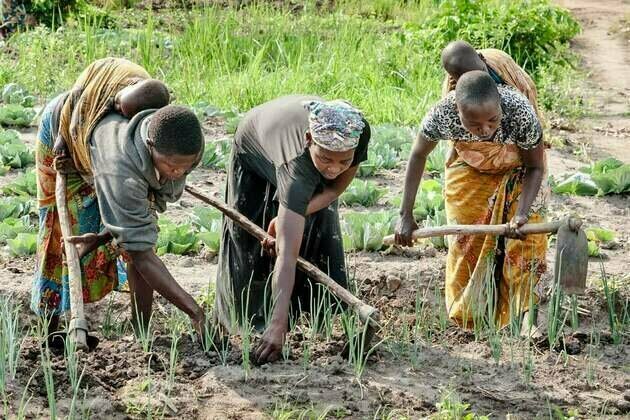 Unpacking the care society: Caring for people and the planet