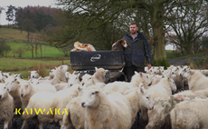 Q&A: Fifth generation and still going strong — Ioan Humphreys on farming in mid-Wales