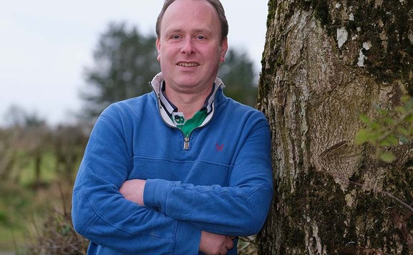Lambing out of season is a bonus for Dorset flock