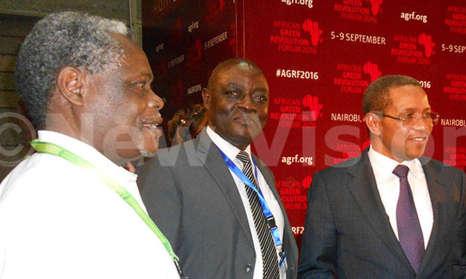 Government to use enterprise selection strategy to transform agriculture Government to use enterprise selection strategy to transform agriculture