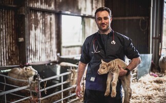 Winchester LibDem MP and vet Danny Chambers urges Government to move quicker on bluetongue