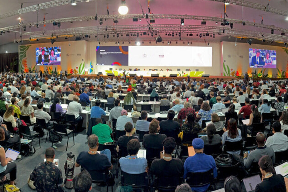 COP30 deal reached without reference to fossil fuels