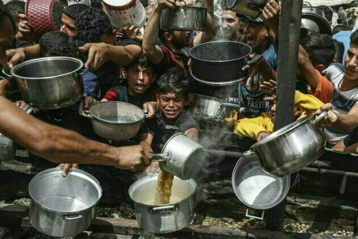 Israel has promised 'basic amount' of food into Gaza - but its policies have already created catastrophic starvation risk for millions