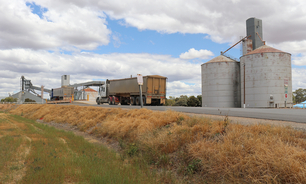 NSW growers may be held up at GrainCorp receival sites from next week, as its workers plan to randomly stop work as part of protected industrial action. 