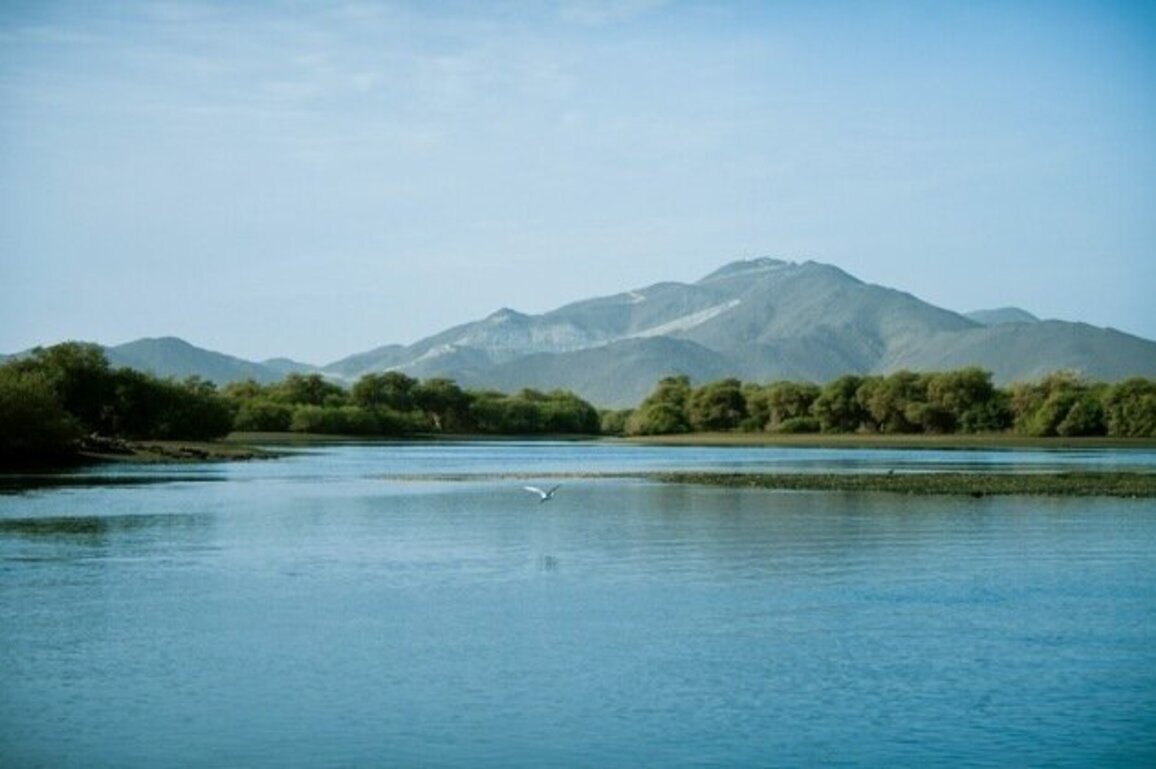 Shurooq redefines development in Kalba's sensitive natural environments