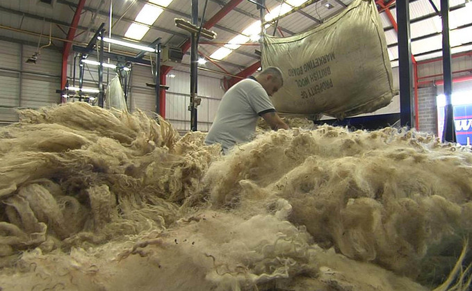 Strong demand for wool