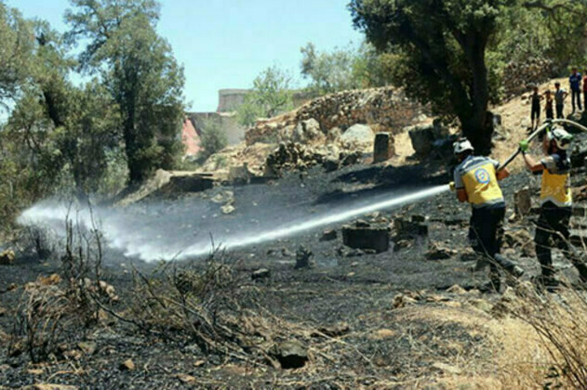 More than 13 fires extinguished in Lattakia countryside
