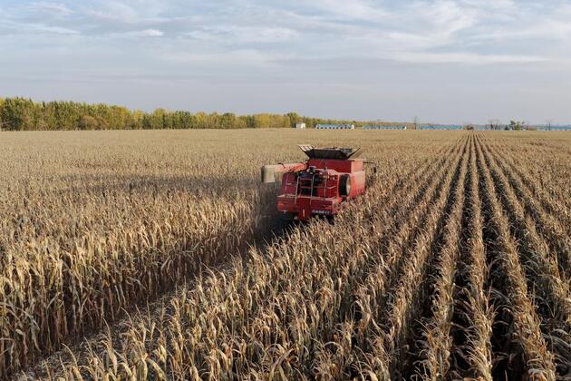 How China contributes to world food security by holding its "rice bowl" firmly