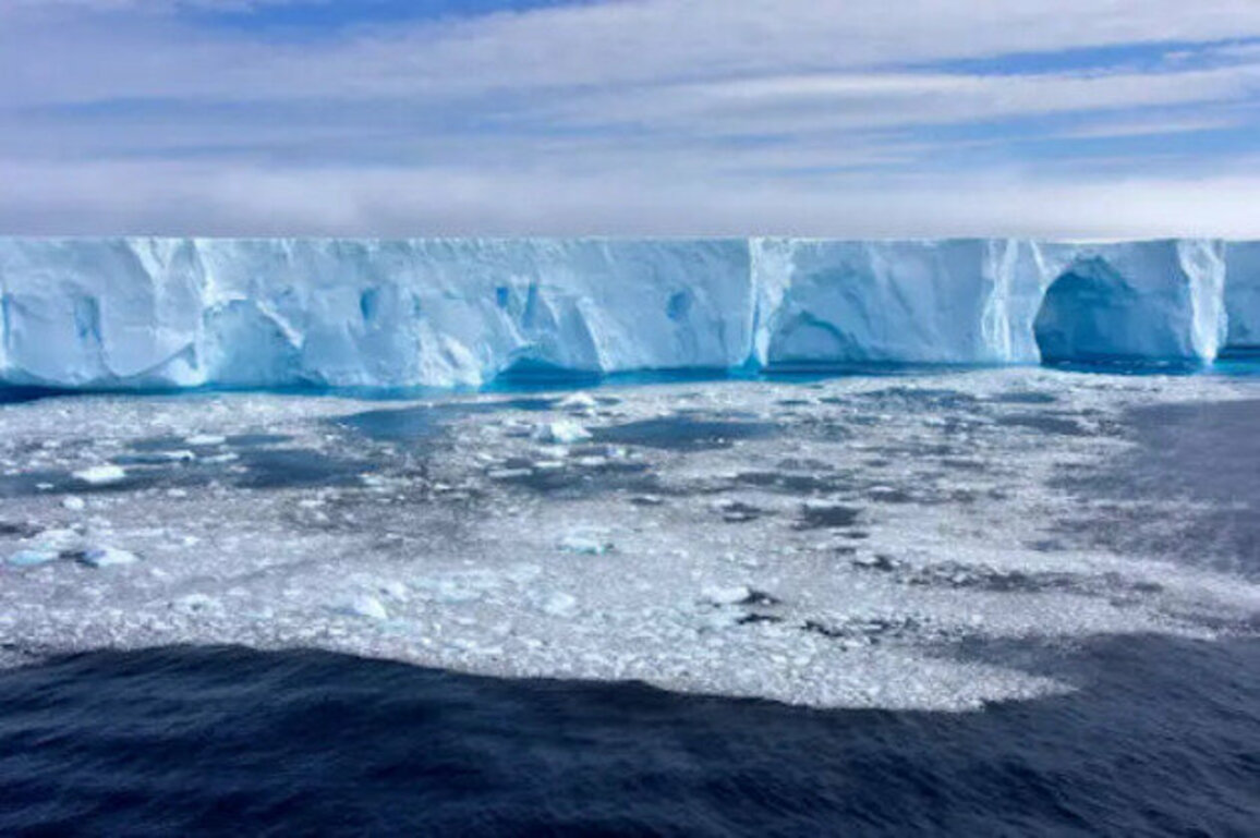 Antarctica on Alert!