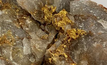 Odyssey finds visible gold at undrilled Blue Gino