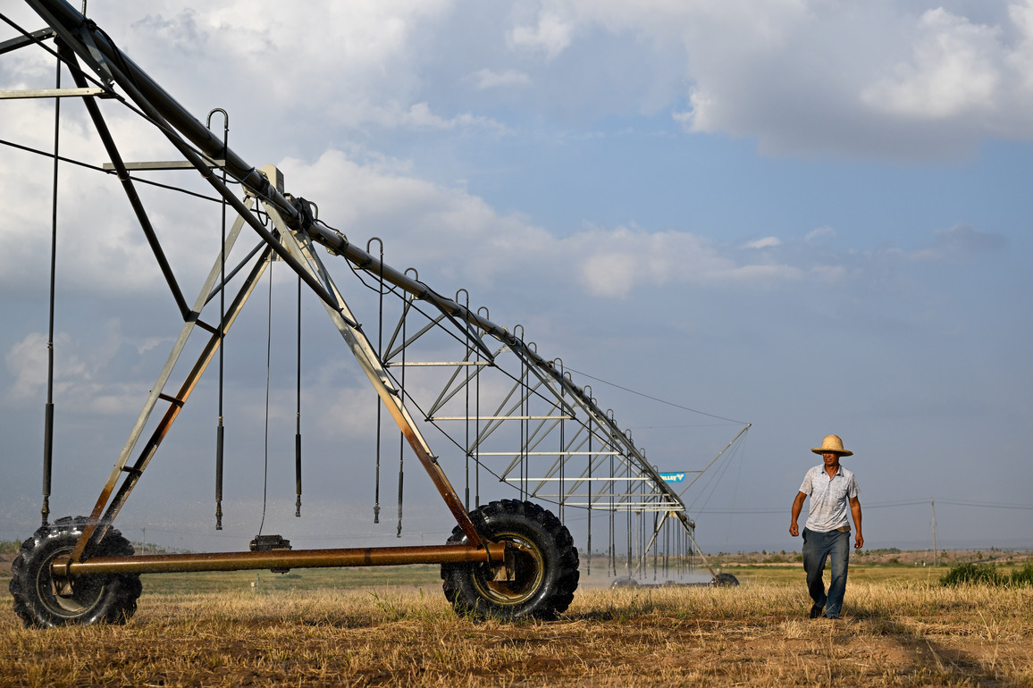 CHINA-INNER MONGOLIA-ALXA-ECOLOGICAL RESTORATION (CN)