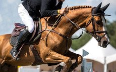 PE-backed Helgstrand Dressage merges with Ludger Beerbaum Stables
