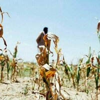 Climate change: no reprieve from heat this decade as globally agreed 1.5C limit looms